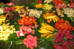 19. Privitanie Markezy