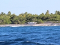 01-640x427