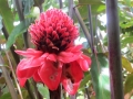 04 (640x480)