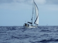 DSCF5562 (640x480)