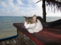IMG_2777 (800x600)