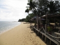 IMG_2786 (800x600)