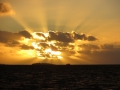 IMG_2809 (800x600)