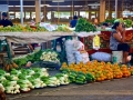 IMG_3257 (1024x575)